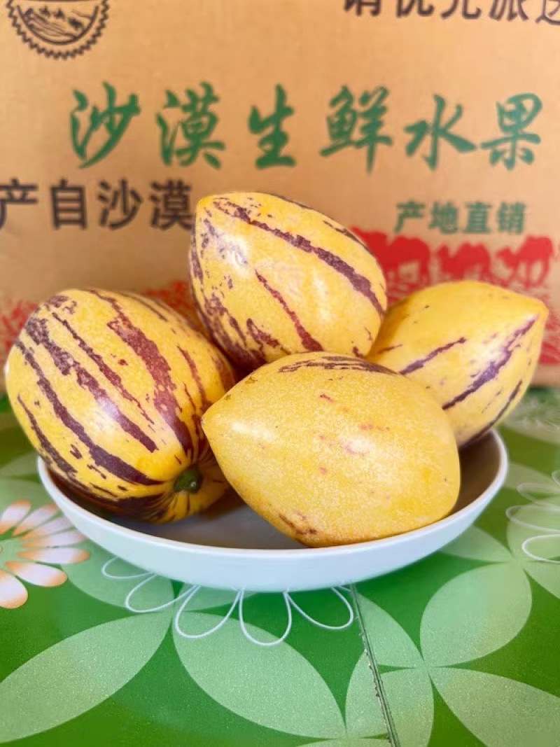 【品质保证】甘肃民勤人参果大量有货欢迎咨询