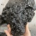 猴宝猴结猴竭猴宝猴结猴竭猴宝猴结猴竭