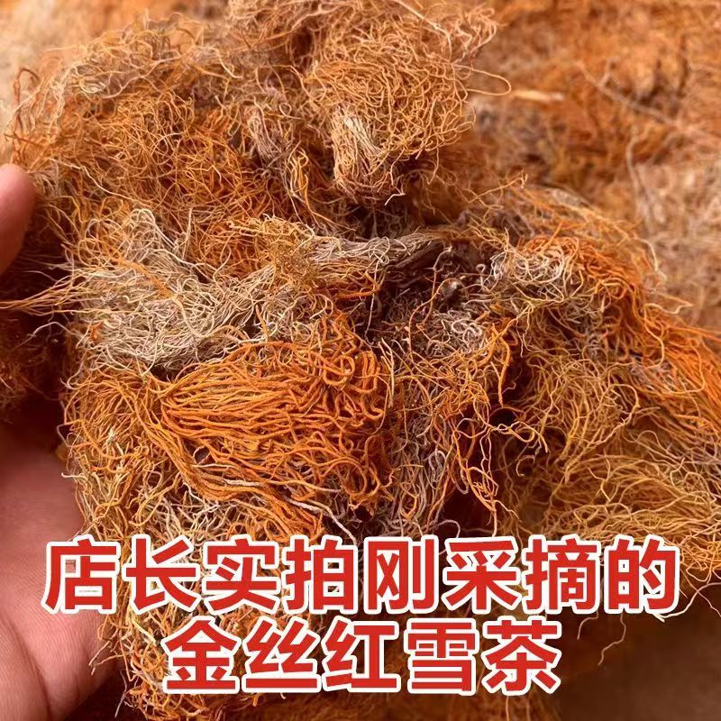 西藏金丝红雪茶金丝红雪茶大货批发