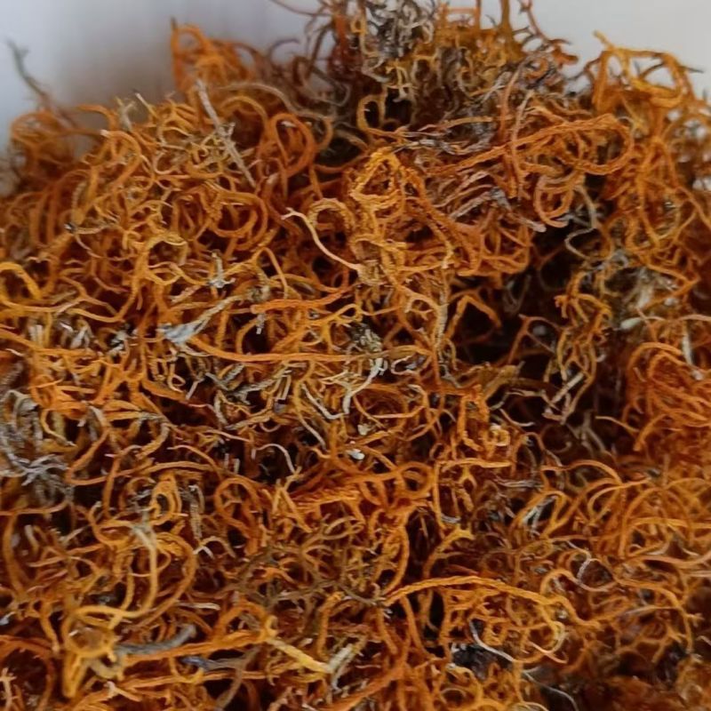 西藏金丝红雪茶金丝红雪茶大货批发