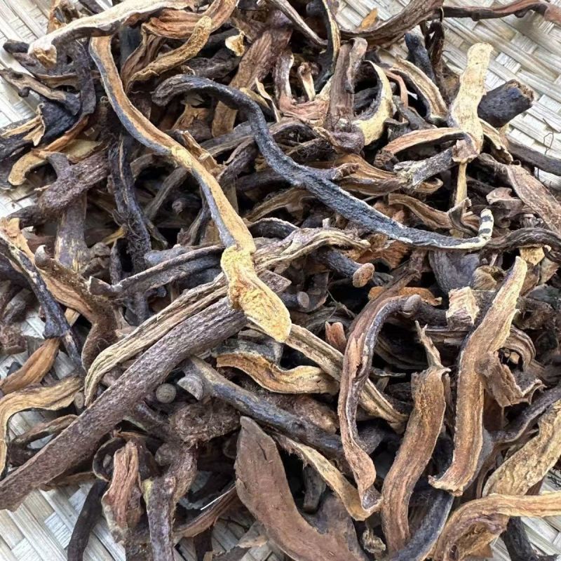 骨碎补骨碎补骨碎补大货批发