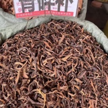 骨碎补骨碎补骨碎补大货批发