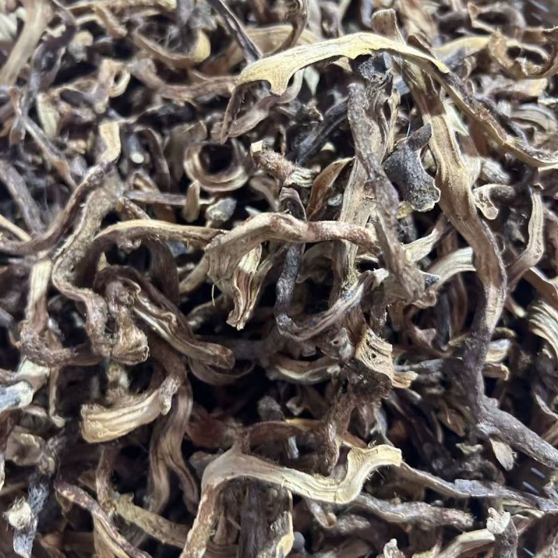 骨碎补骨碎补骨碎补大货批发
