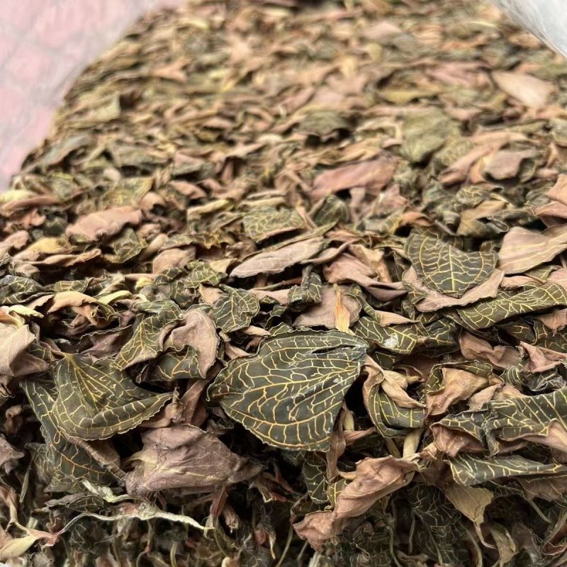 金线莲台湾金线莲福建金线莲产地货源