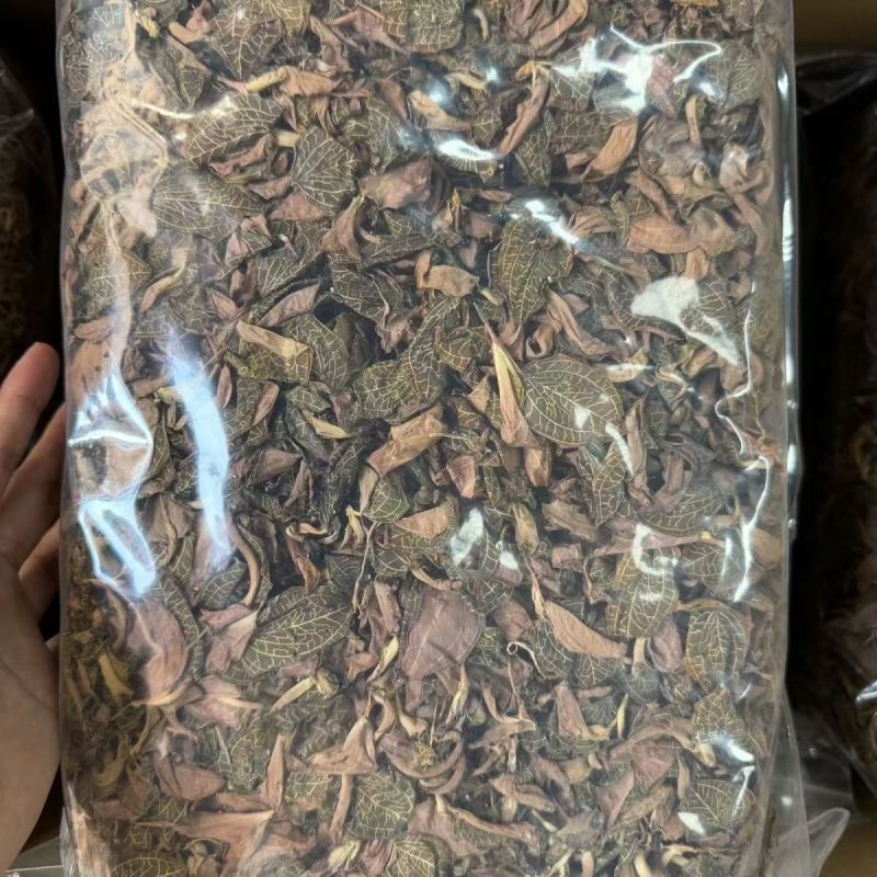 金线莲台湾金线莲福建金线莲产地货源