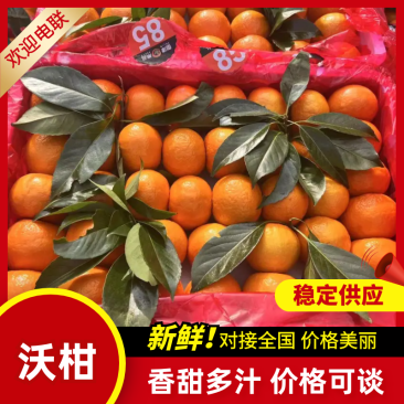 精品沃柑，云南沃柑产地直发电商商超市场批发