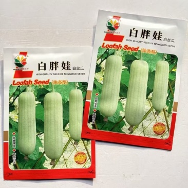 白胖娃白丝瓜种子油亮短棒型脆嫩香甜口感柔软