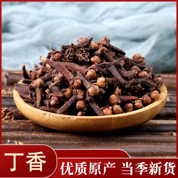 丁香丁香调料公丁香各种中药材批发质量保证产地