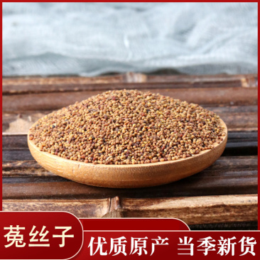菟丝子水洗内蒙好批发零售各种中药材菟丝子