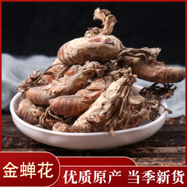 金蝉花一斤包邮各种中药材批发质量保证产地直销