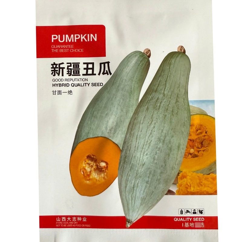新疆丑瓜种子贵族南瓜种子甘面甜味浓种腔小