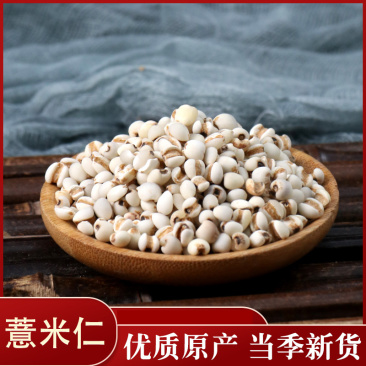 薏米药用无硫薏米薏仁米贵州米麸炒薏仁米