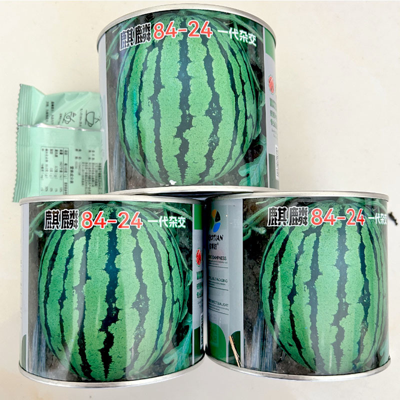 麒麟8424西瓜种子皮薄脆早熟甜度高14%易坐果耐高温