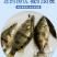 桂鱼苗