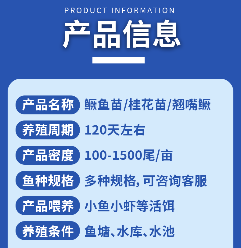 桂鱼苗