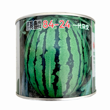 8424西瓜种子早熟杂交易坐果耐高温抗湿甜度14基地品