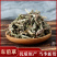 车前草药用无硫车前草净货各种中药材批发质量保证