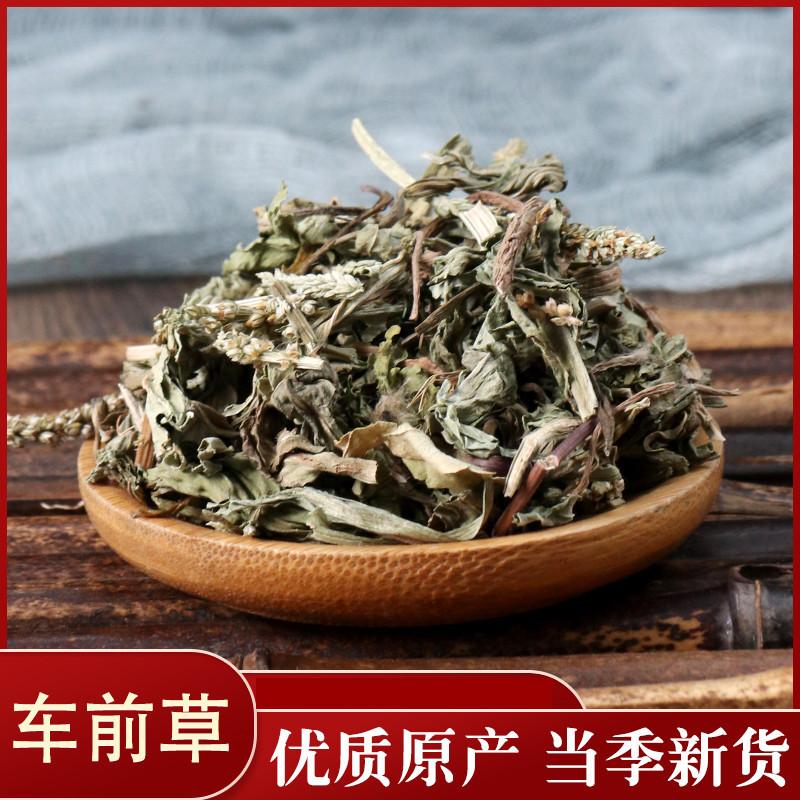 车前草药用无硫车前草净货各种中药材批发质量保证