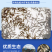 草鱼苗