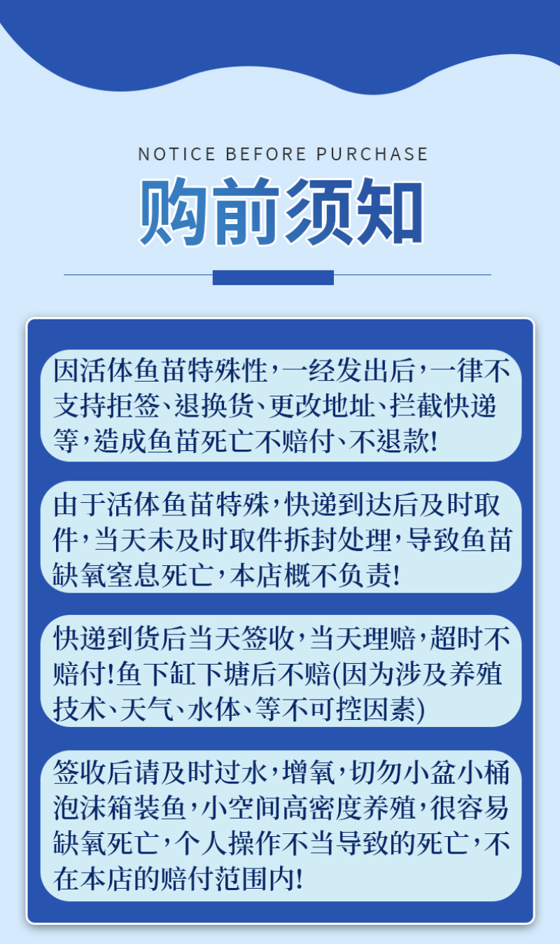 草鱼苗