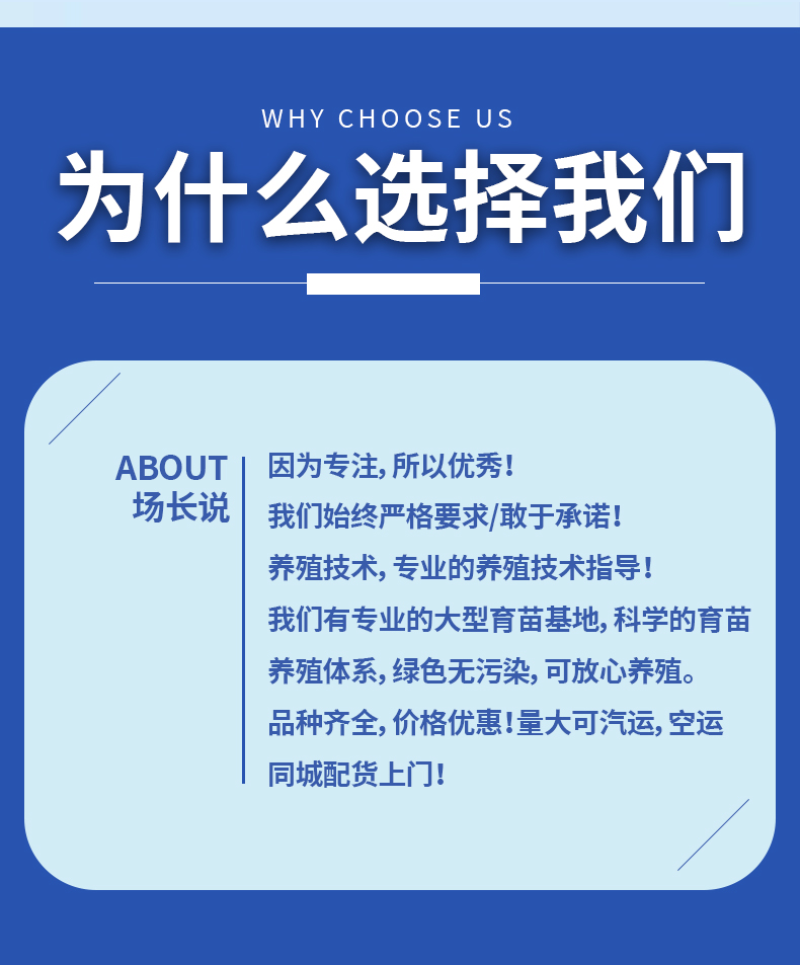 草鱼苗