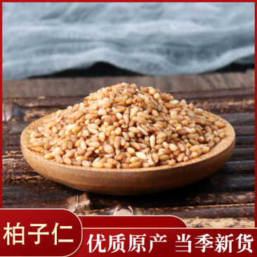 柏子仁批发零售各种规格中药材柏子仁各种规格