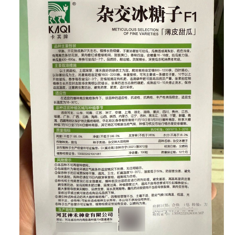 冰糖子甜瓜种子早熟甜脆爽口香味四溢含糖量16-18度