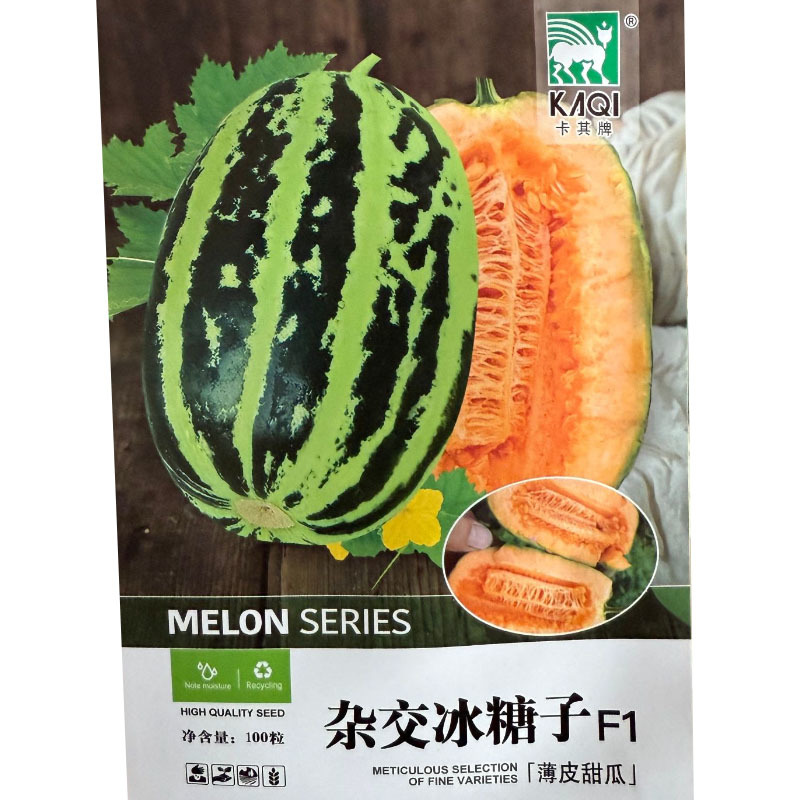 冰糖子甜瓜种子早熟甜脆爽口香味四溢含糖量16-18度