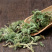 伸筋草伸筋草各种草类中药材批发伸筋草批发