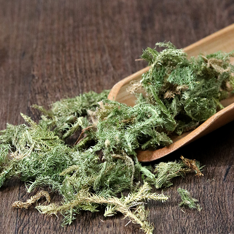 伸筋草伸筋草各种草类中药材批发伸筋草批发