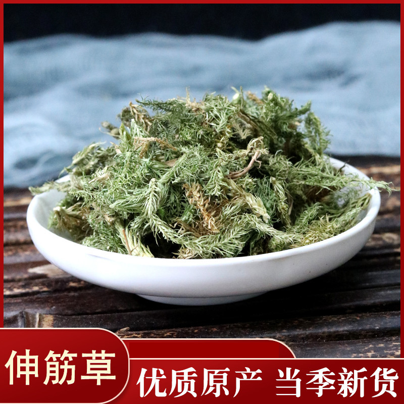 伸筋草伸筋草各种草类中药材批发伸筋草批发