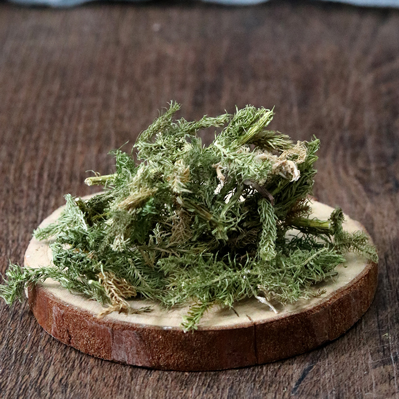 伸筋草伸筋草各种草类中药材批发伸筋草批发