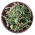 伸筋草伸筋草各种草类中药材批发伸筋草批发