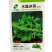 水晶冰菜种子冰草种子口感新鲜娇嫩清脆生食入口即化