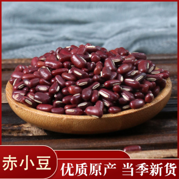赤小豆各种中药材批发零售各种规格中药材赤小豆药用