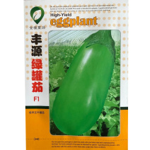 绿罐茄种子极早五叶罐茄子种子个大皮色油绿不早衰