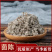 茵陈各种中药材批发质量保证产地直销绵茵陈