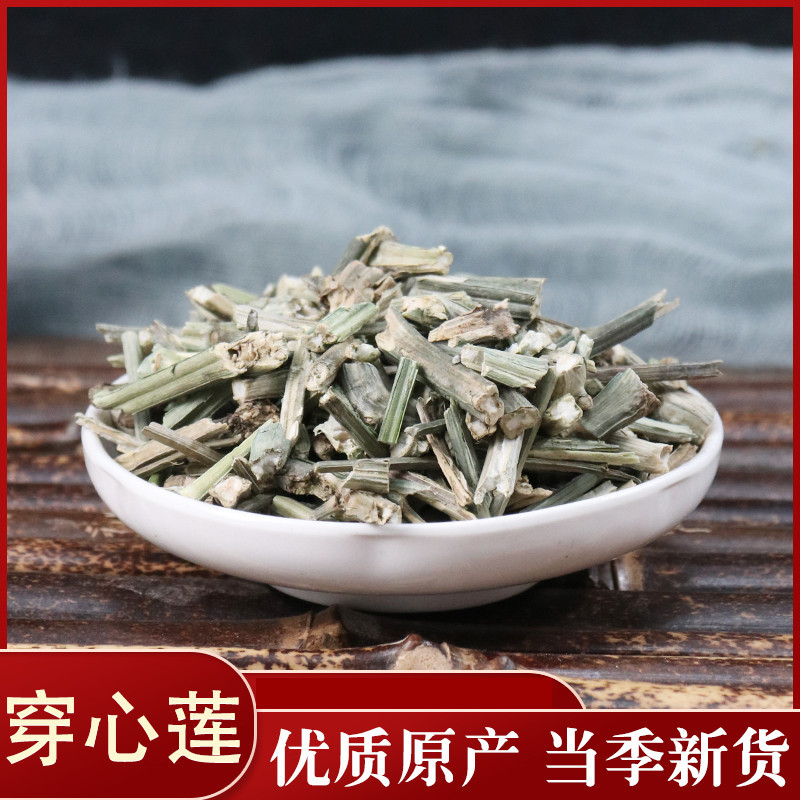 穿心莲各种中药材批发质量保证产地直销