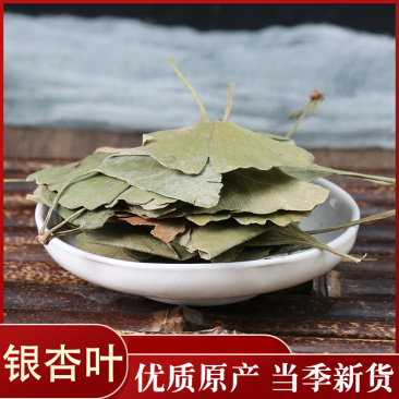 银杏叶各种中药材批发质量保证