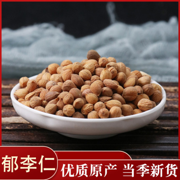 郁李仁各种中药材批发质量保证