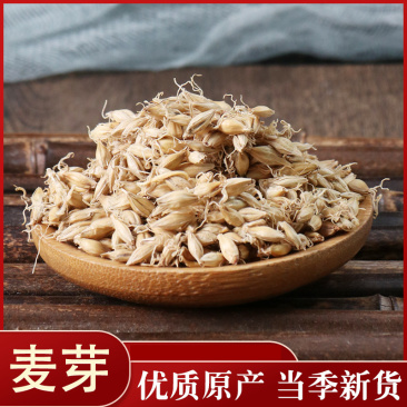 麦芽生麦芽炒麦芽无硫中药材焦麦芽大麦芽