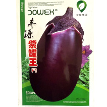 紫罐王茄子种子紫罐茄种子中熟果实大果皮紫黑发亮