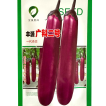 广科二中与紫红长茄种子果肉细嫩籽少细密口感绵软