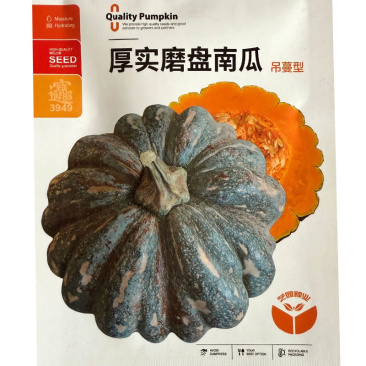厚实磨盘南瓜种子吊蔓型单瓜重4公斤左右肉食紧密