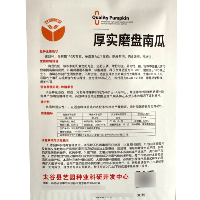 厚实磨盘南瓜种子吊蔓型单瓜重4公斤左右肉食紧密