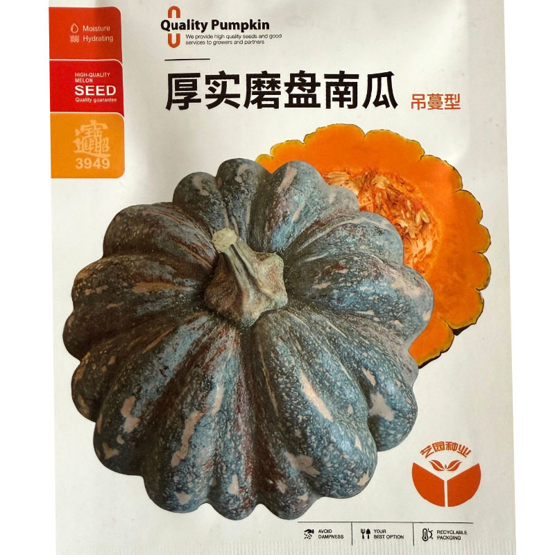 厚实磨盘南瓜种子吊蔓型单瓜重4公斤左右肉食紧密