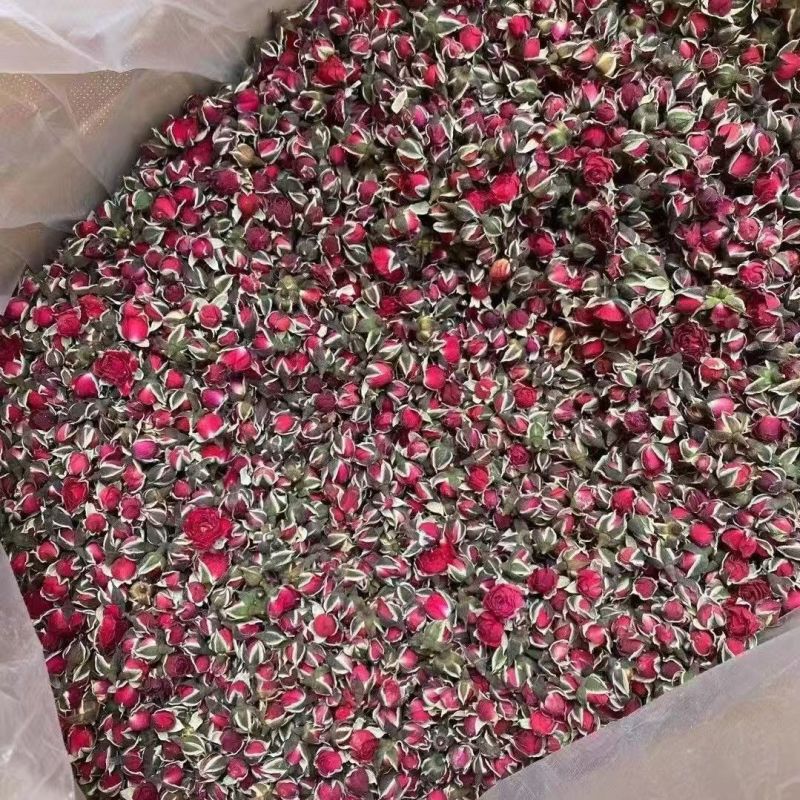 金边玫瑰金边玫瑰花云南金边玫瑰花