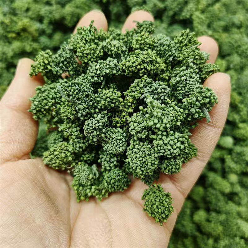 三七花云南三七花批发