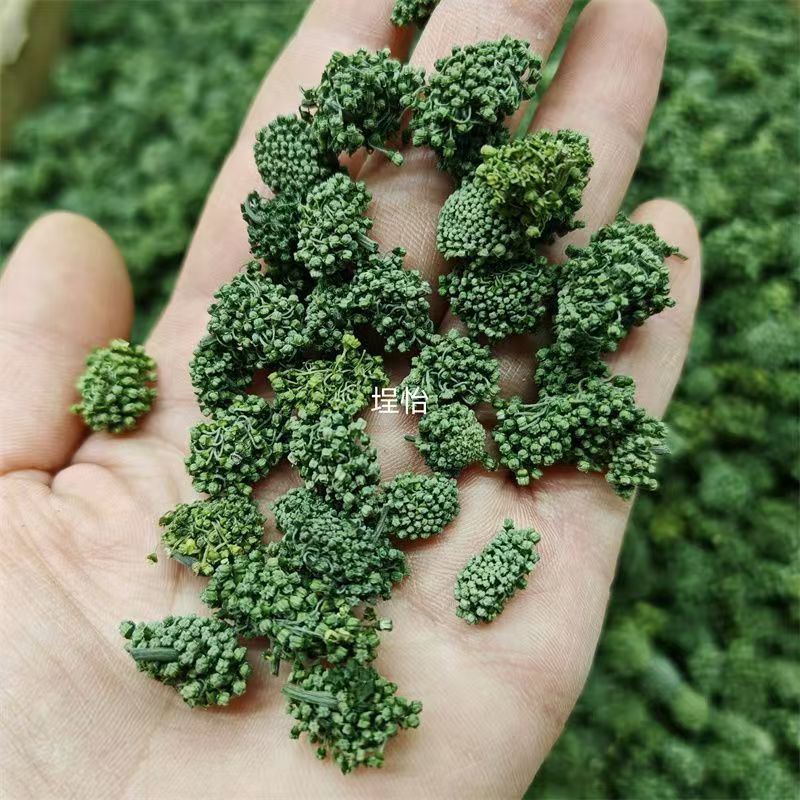 三七花云南三七花批发