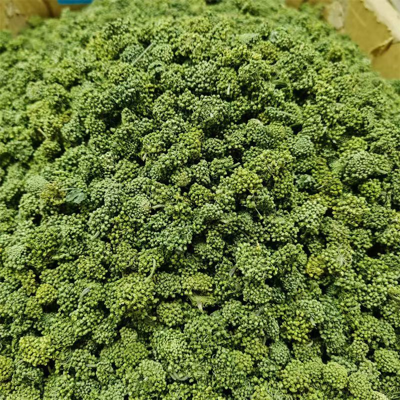 三七花云南三七花批发